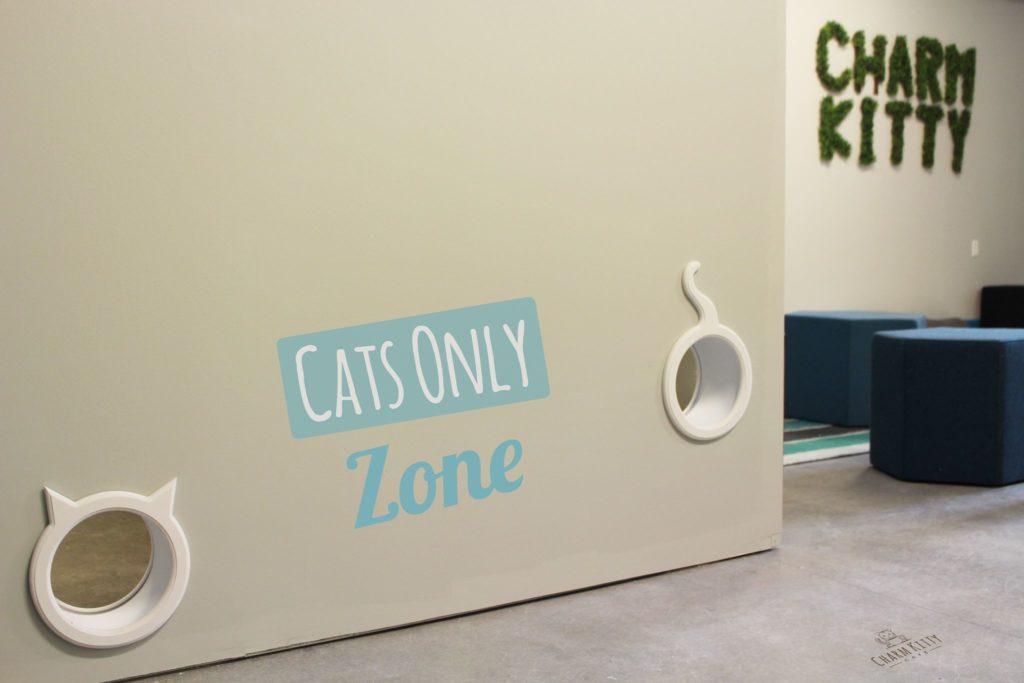 Cats Only Cat Refuge at Charm Kitty Cafe (photo courtesy of Charm Kitty Cafe)