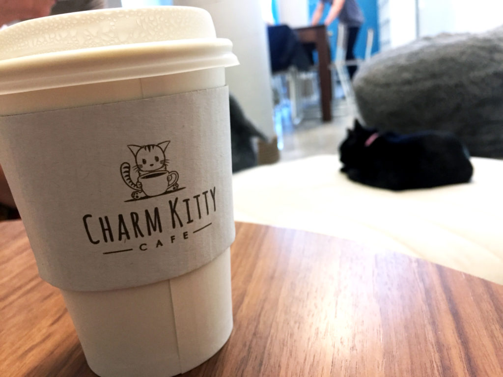 Charm Kitty Cafe with Frankie the Cat in the background