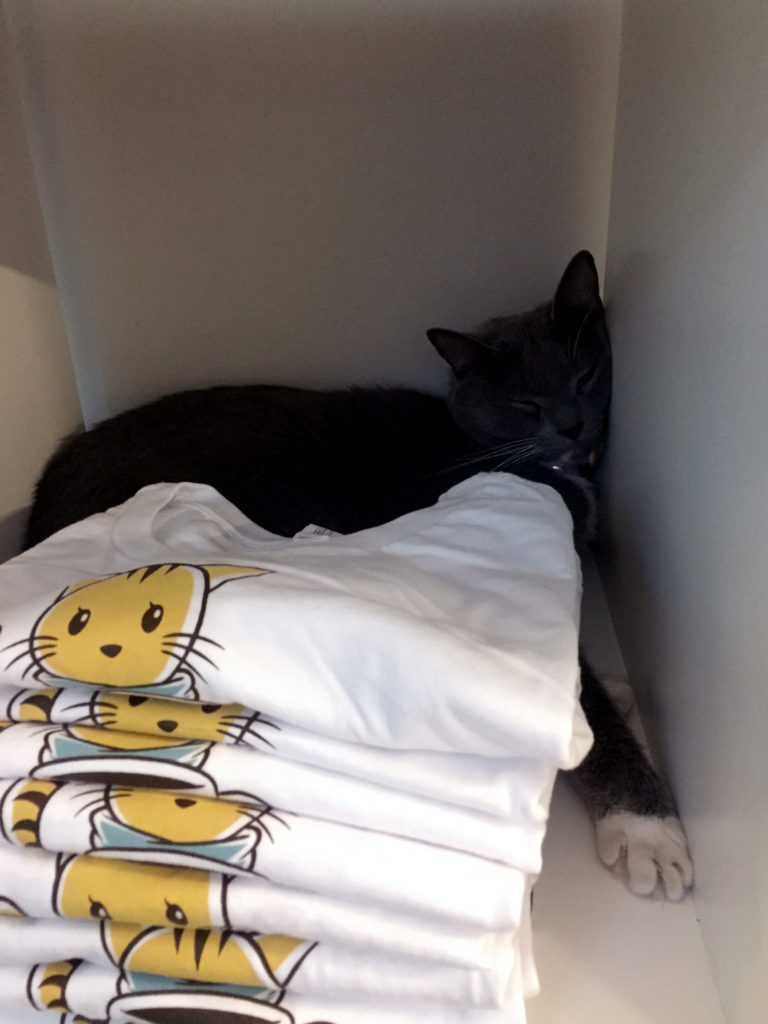 Paris chilling in a T-Shirt Cubby at Charm Kitty Cafe