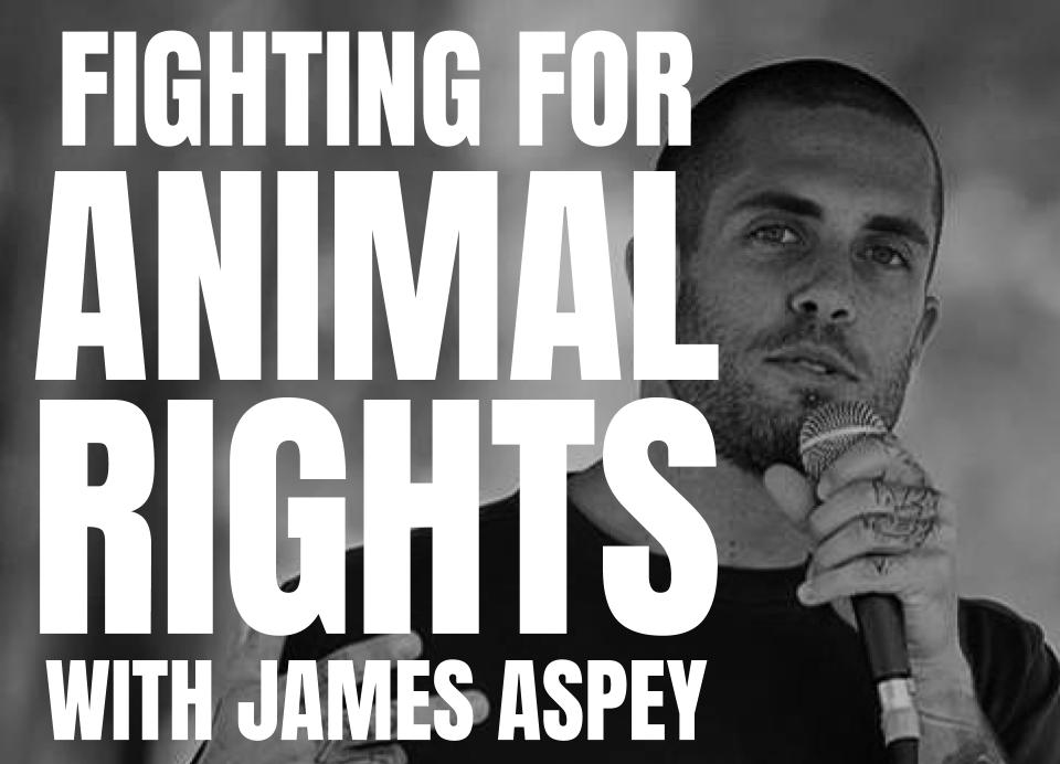 Meeting Animal Rights Inspiration James Aspey